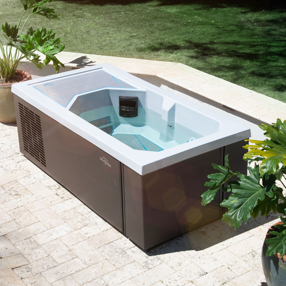 Phoenix Swim Spas