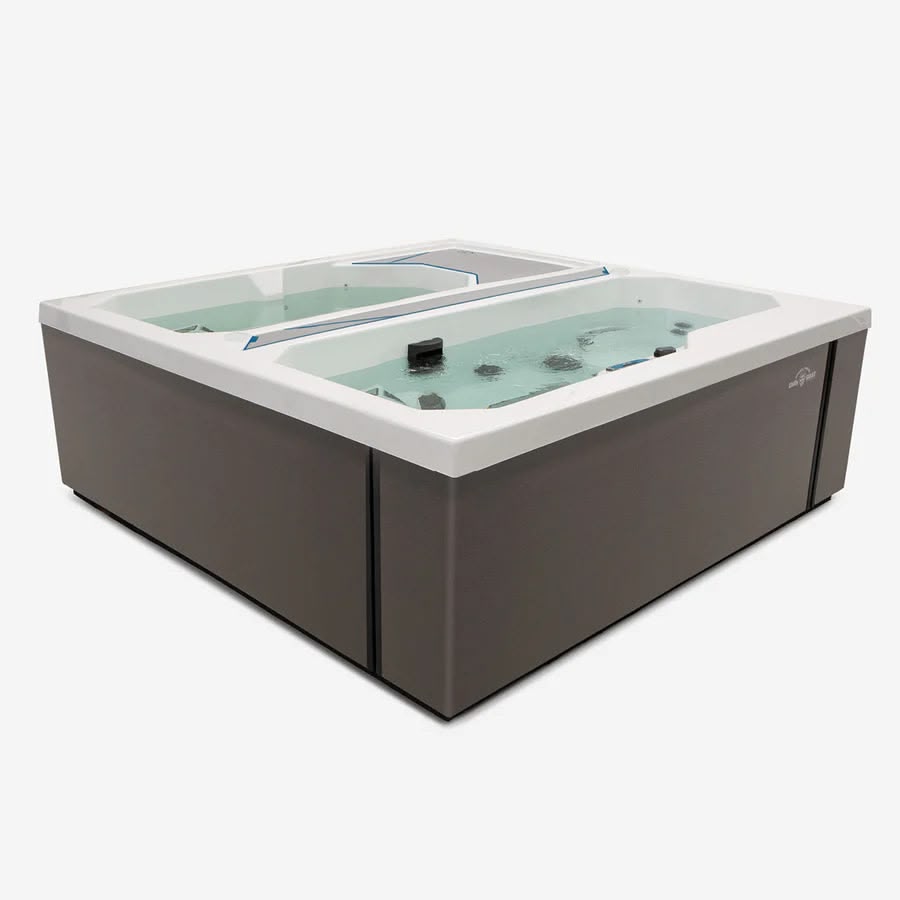 Phoenix Swim Spas