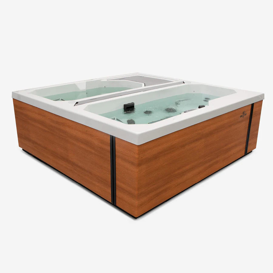 Phoenix Swim Spas